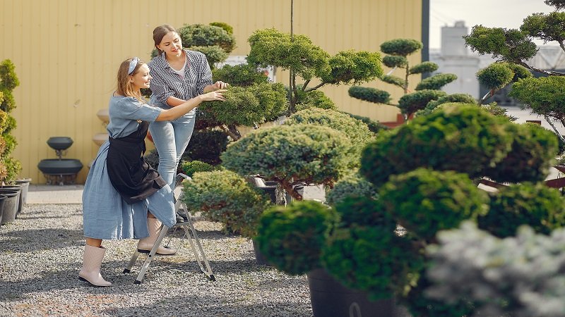 Robert MyGardenandPatio: Expert Guidance for Outdoor Living and Garden Design